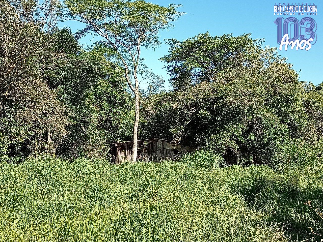 Chácara, 2 quartos, 2 hectares - Foto 40