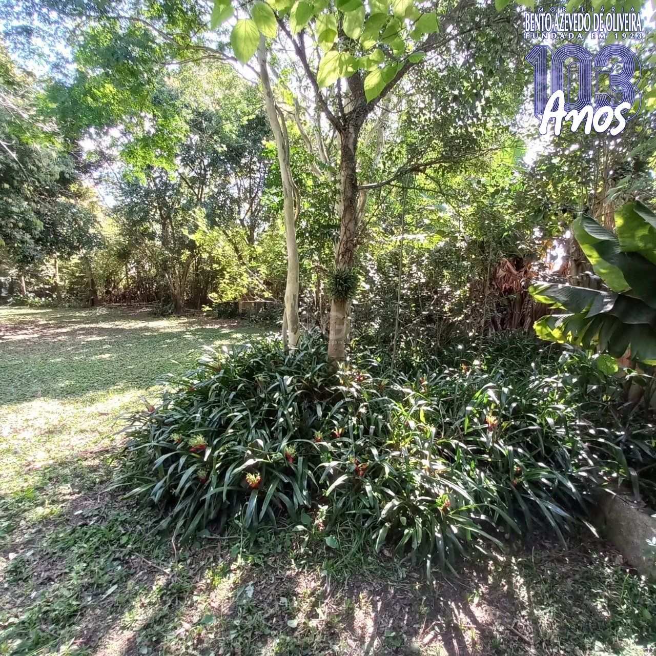 Terreno, 520 m² - Foto 3