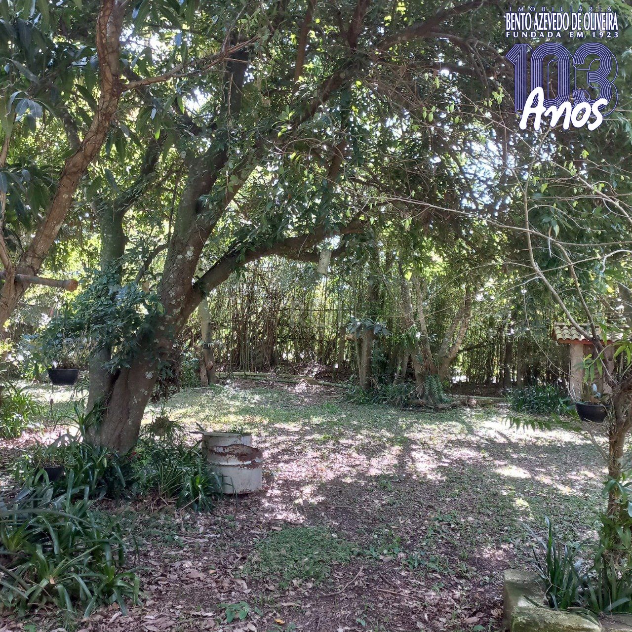 Terreno, 520 m² - Foto 14