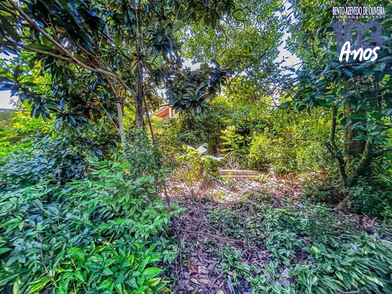 Terreno, 1045 m² - Foto 10
