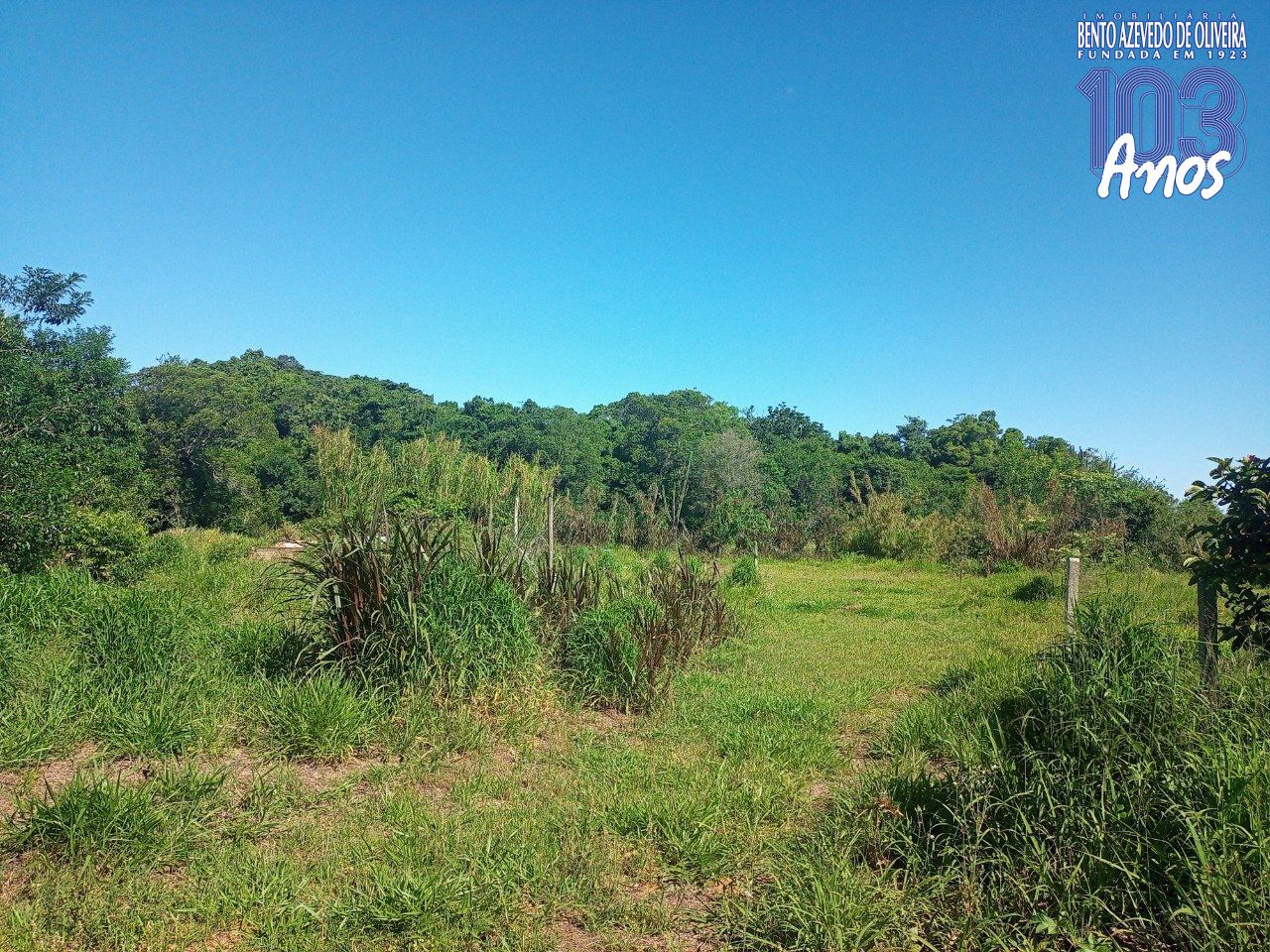 Chácara, 2 quartos, 2 hectares - Foto 82