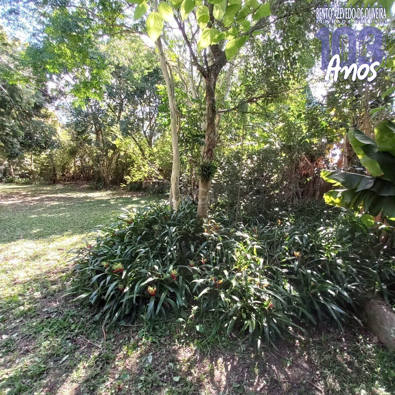 Terreno, 520 m² - Foto 4