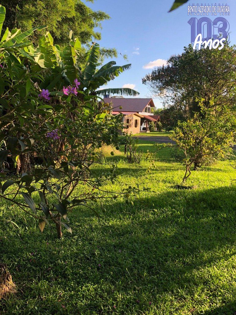 Chácara, 3 quartos, 3273 m² - Foto 31