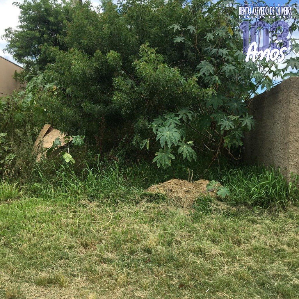 Terreno, 1500 m² - Foto 7