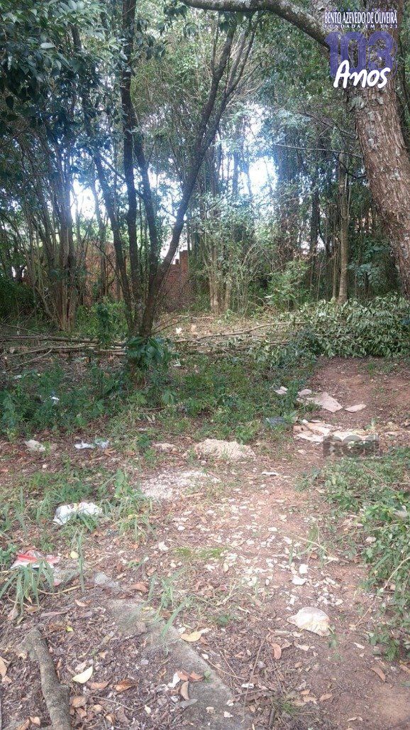 Terreno, 300 m² - Foto 4