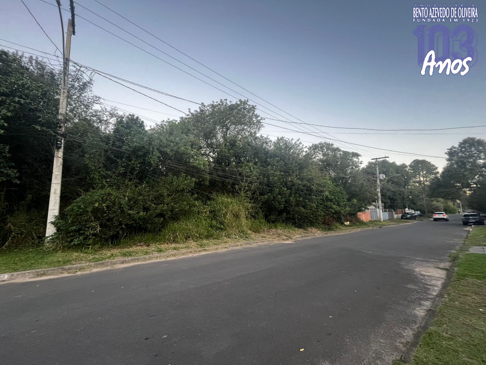 Terreno, 10000 m² - Foto 1