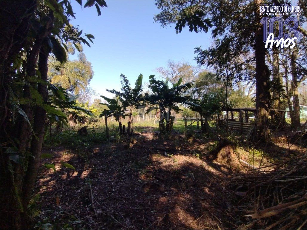 Chácara, 4 quartos, 6200 m² - Foto 30