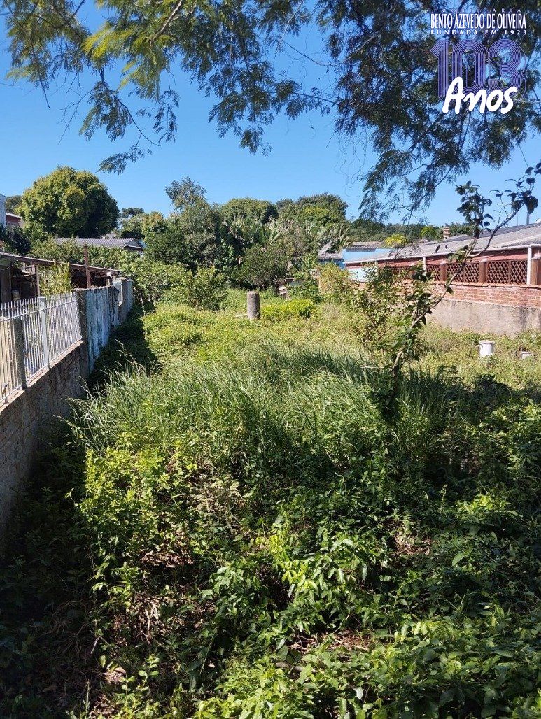 Terreno, 440 m² - Foto 6