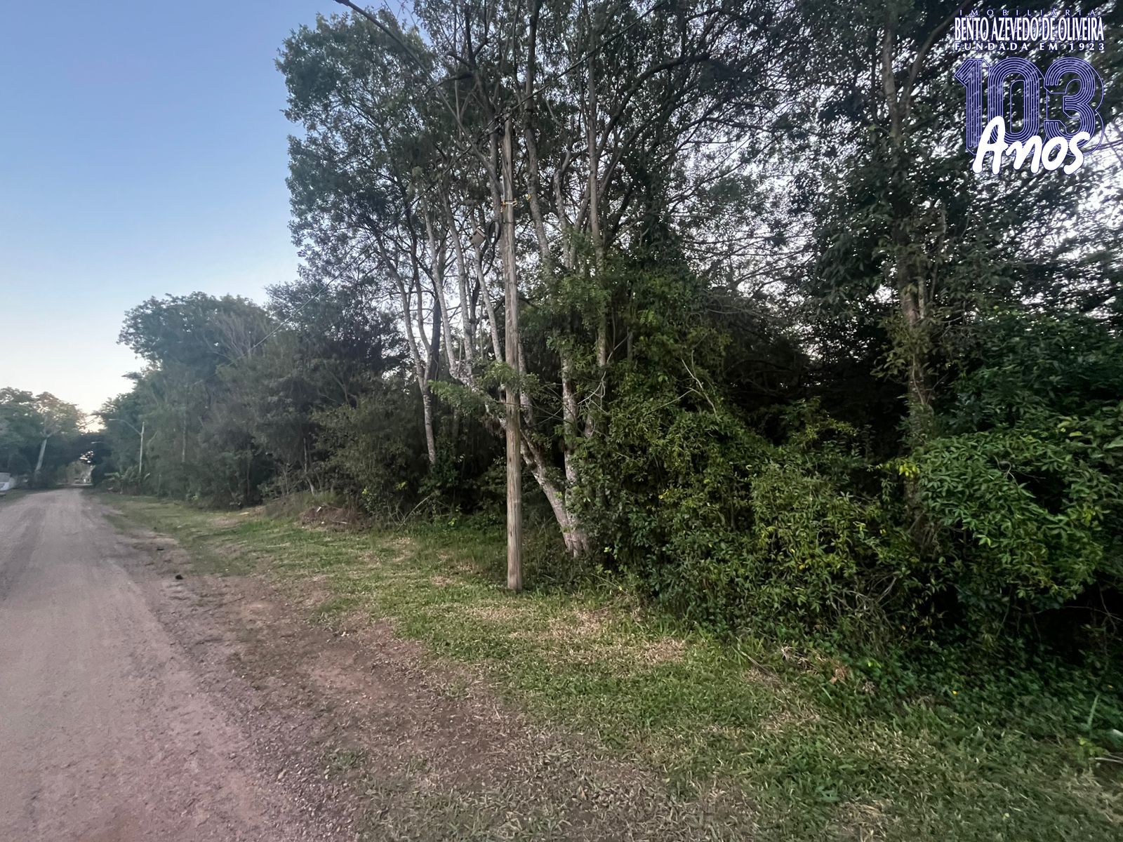 Terreno, 10000 m² - Foto 6