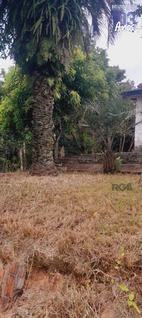 Terreno, 440 m² - Foto 5