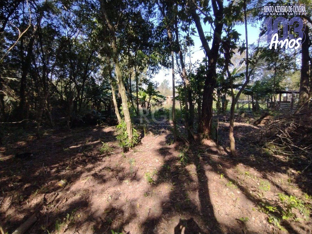 Chácara, 4 quartos, 6200 m² - Foto 31
