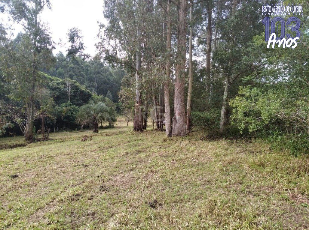 Terreno, 2500 m² - Foto 7