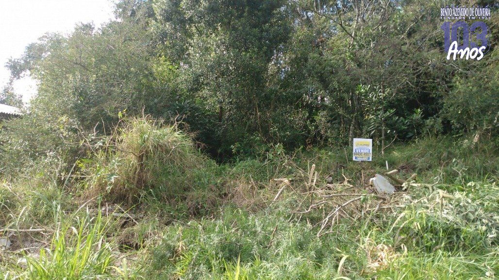 Terreno, 300 m² - Foto 2