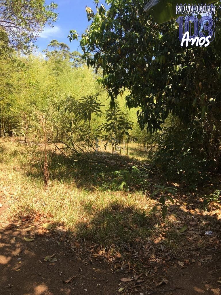 Terreno, 6750 m² - Foto 15