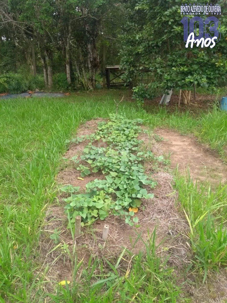 Terreno, 1440 m² - Foto 11