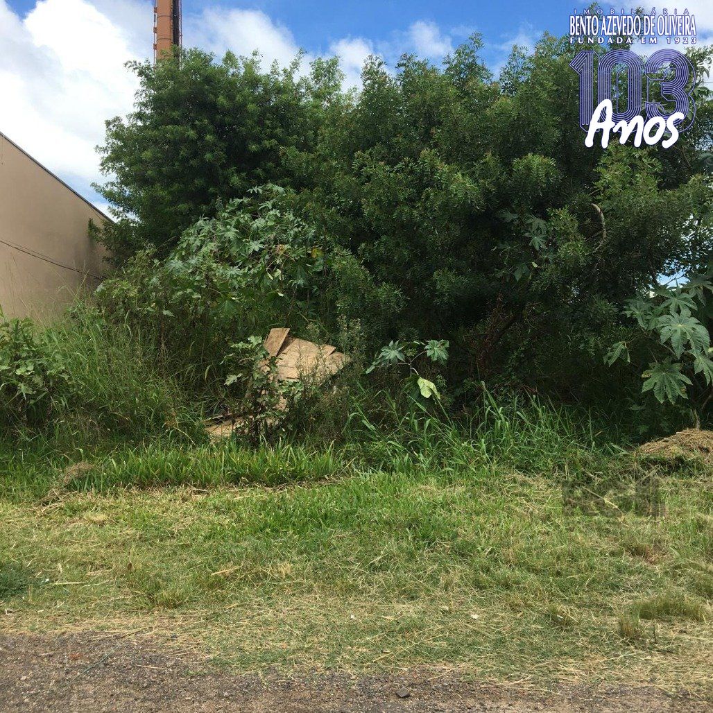 Terreno, 1500 m² - Foto 6