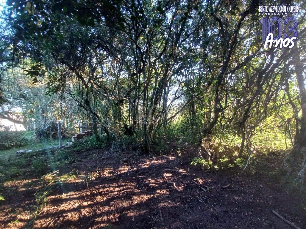 Chácara, 2 quartos, 400 m² - Foto 12