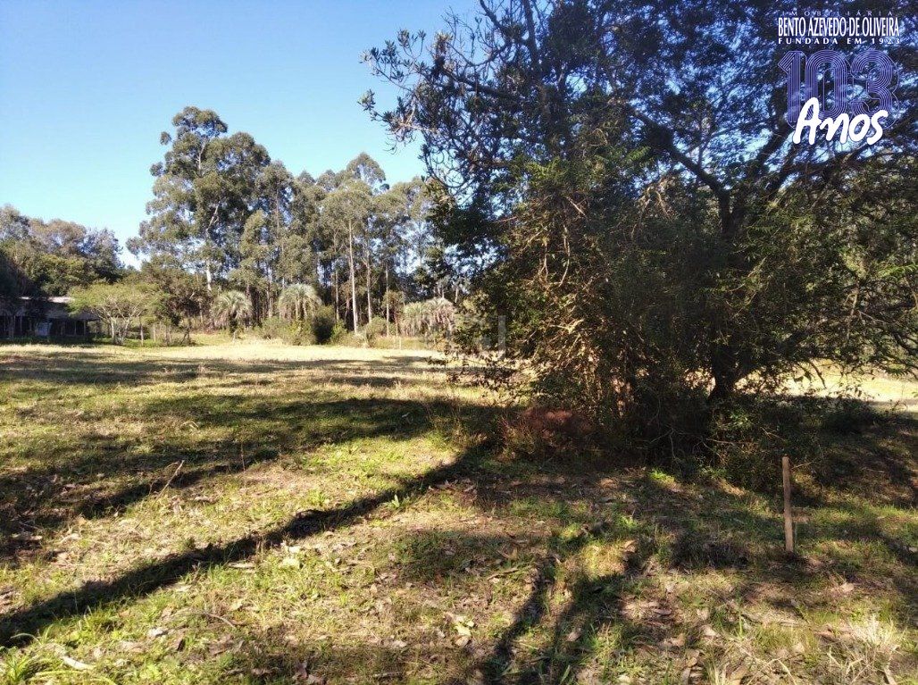 Terreno, 2500 m² - Foto 1