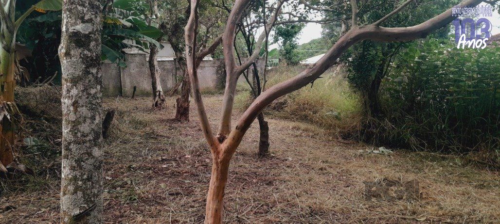 Terreno, 440 m² - Foto 6