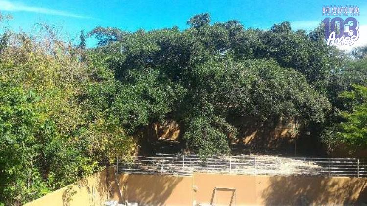 Apartamento, 2 quartos, 53 m² - Foto 15