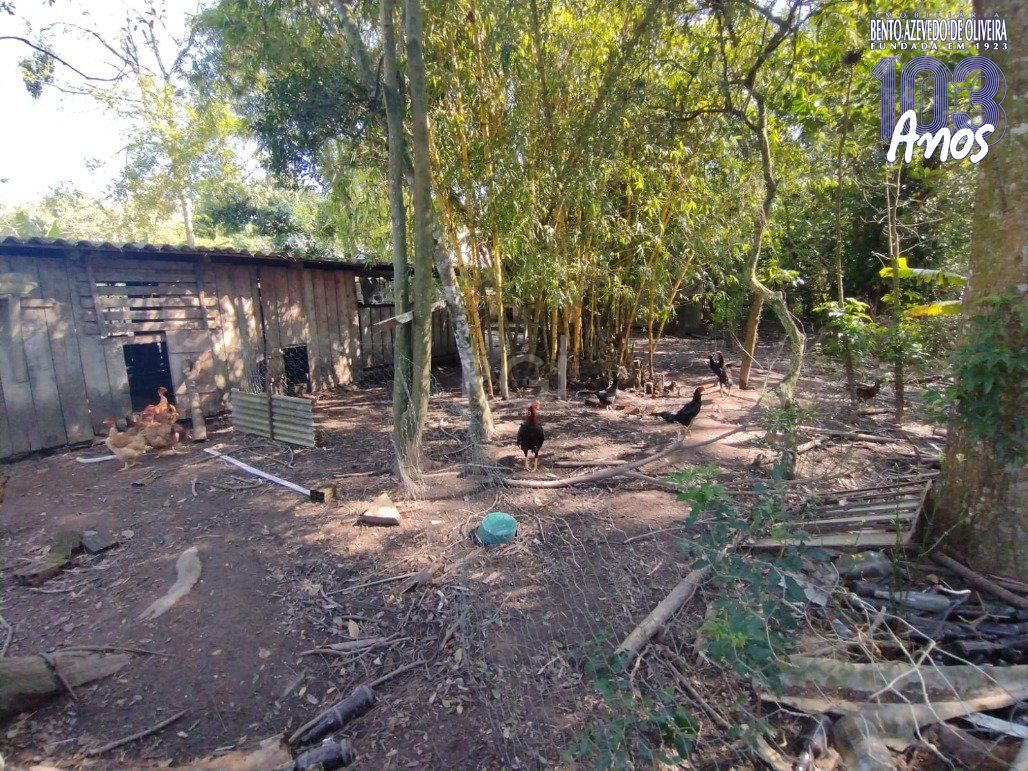 Chácara, 4 quartos, 6200 m² - Foto 26