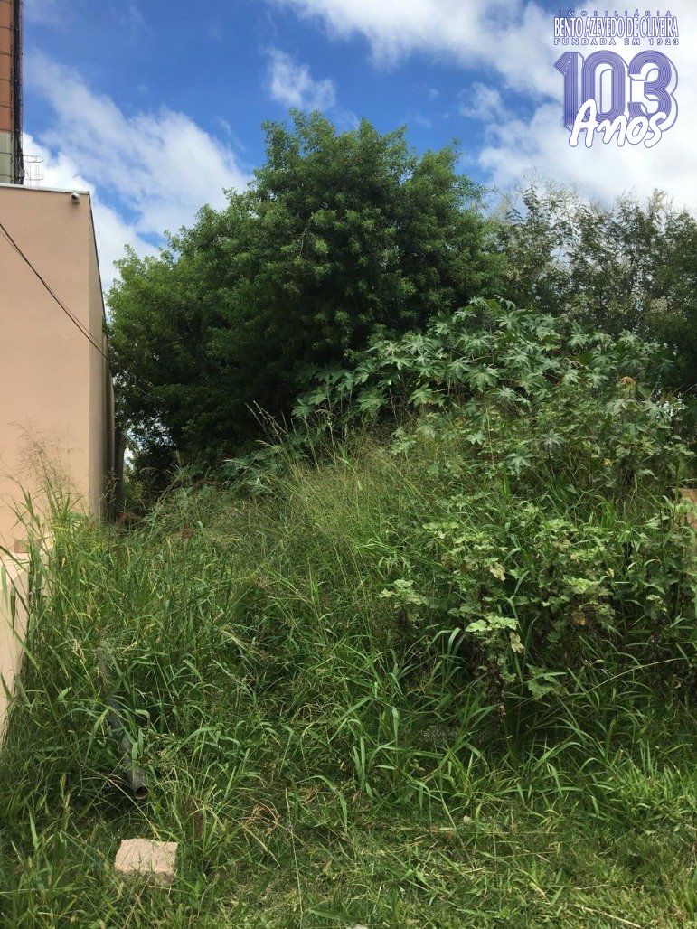 Terreno, 1500 m² - Foto 5