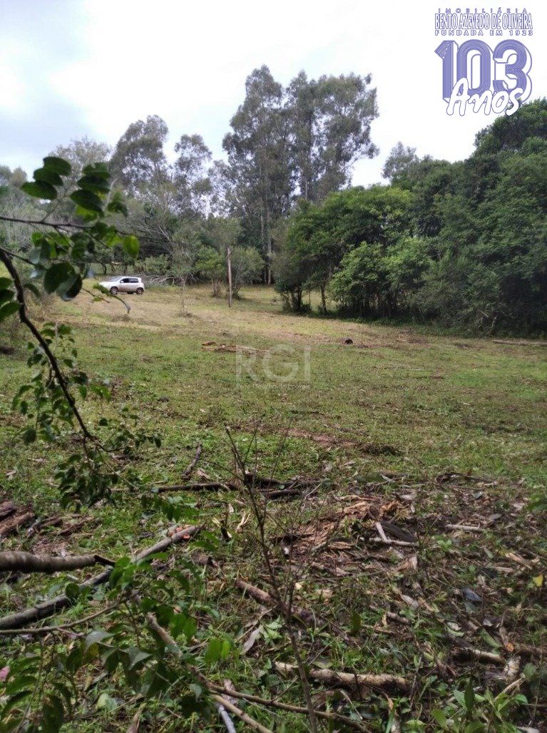 Terreno, 2500 m² - Foto 5