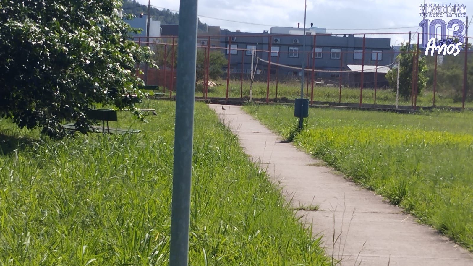 Terreno, 149 m² - Foto 4