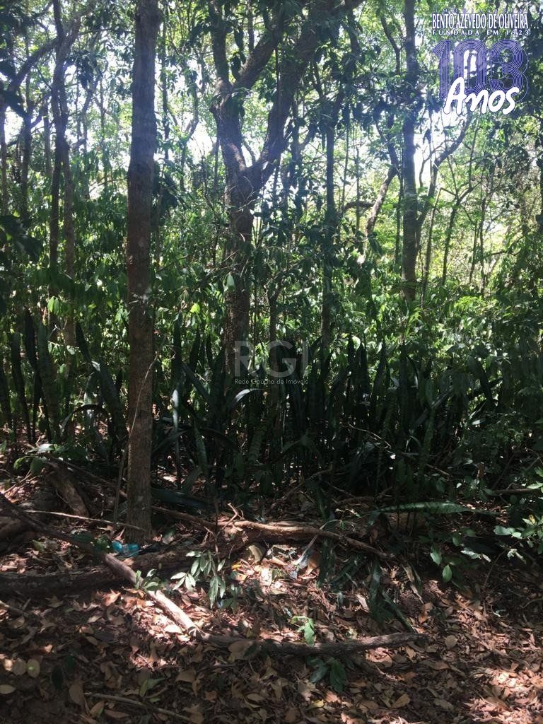 Terreno, 6750 m² - Foto 2