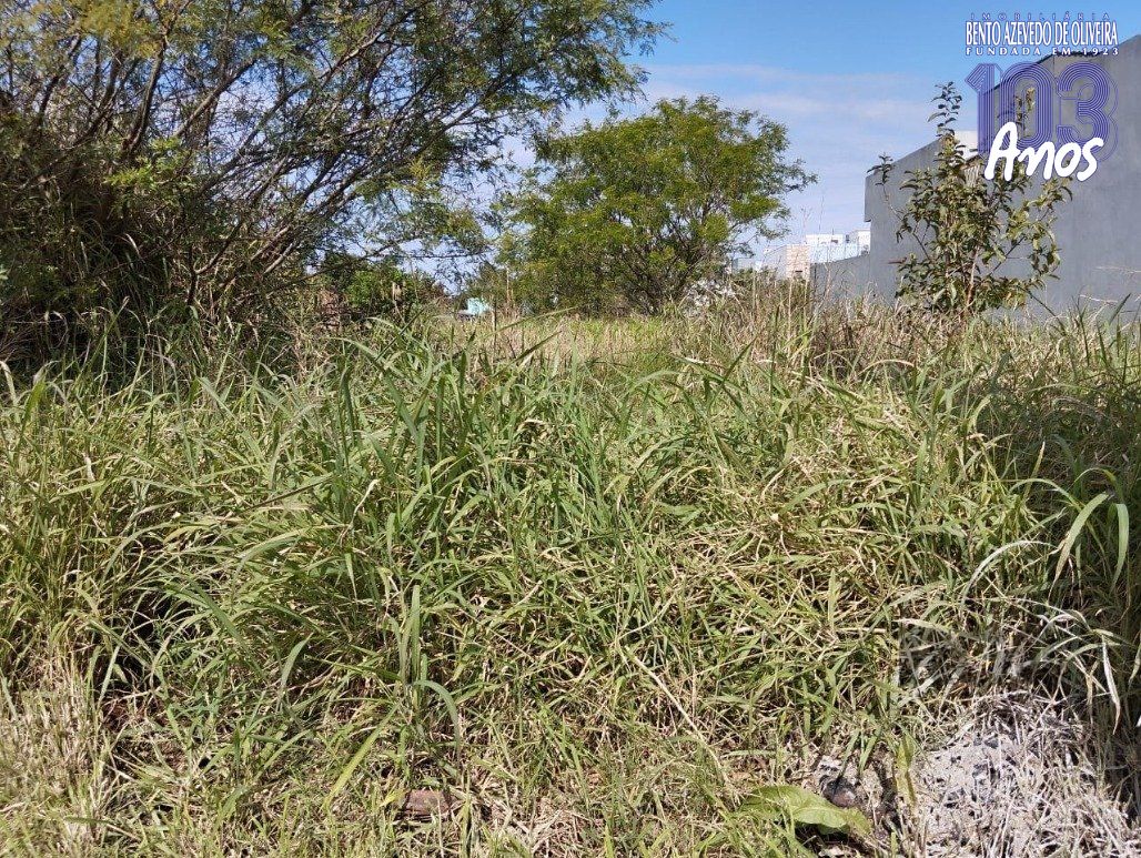 Terreno, 125 m² - Foto 7