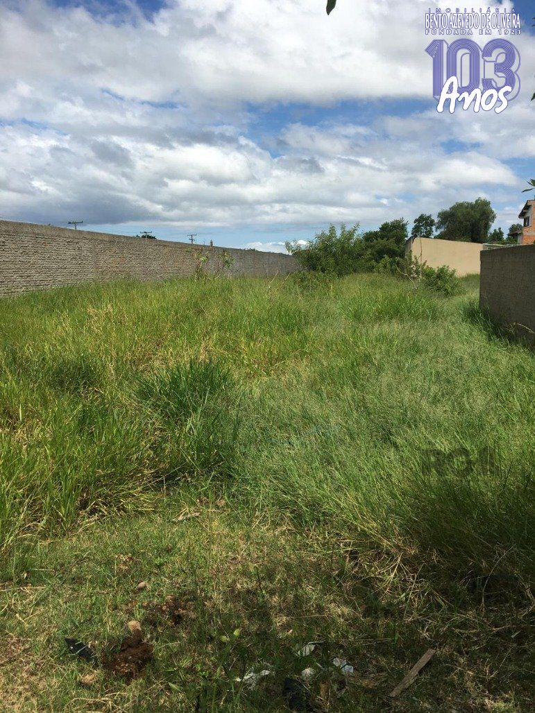 Terreno, 1500 m² - Foto 8