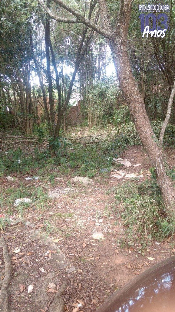 Terreno, 300 m² - Foto 3