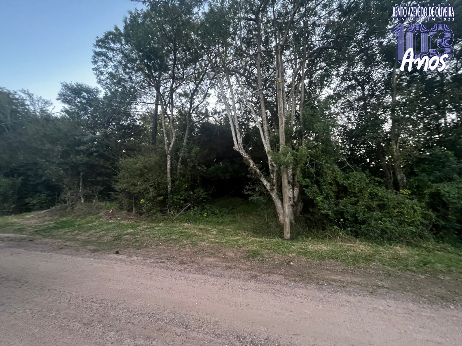 Terreno, 10000 m² - Foto 5