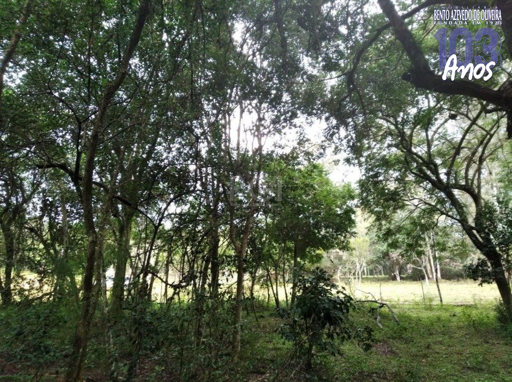 Terreno, 2500 m² - Foto 3