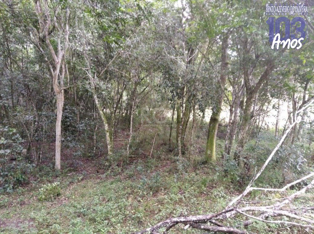 Terreno, 2500 m² - Foto 11