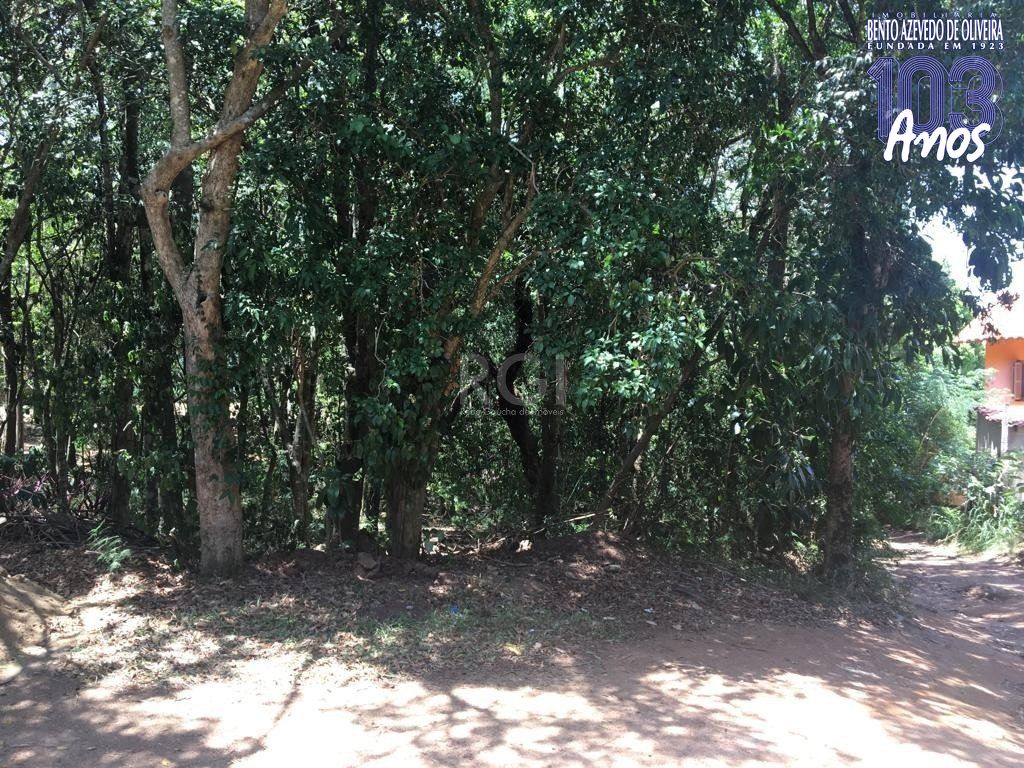 Terreno, 6750 m² - Foto 4