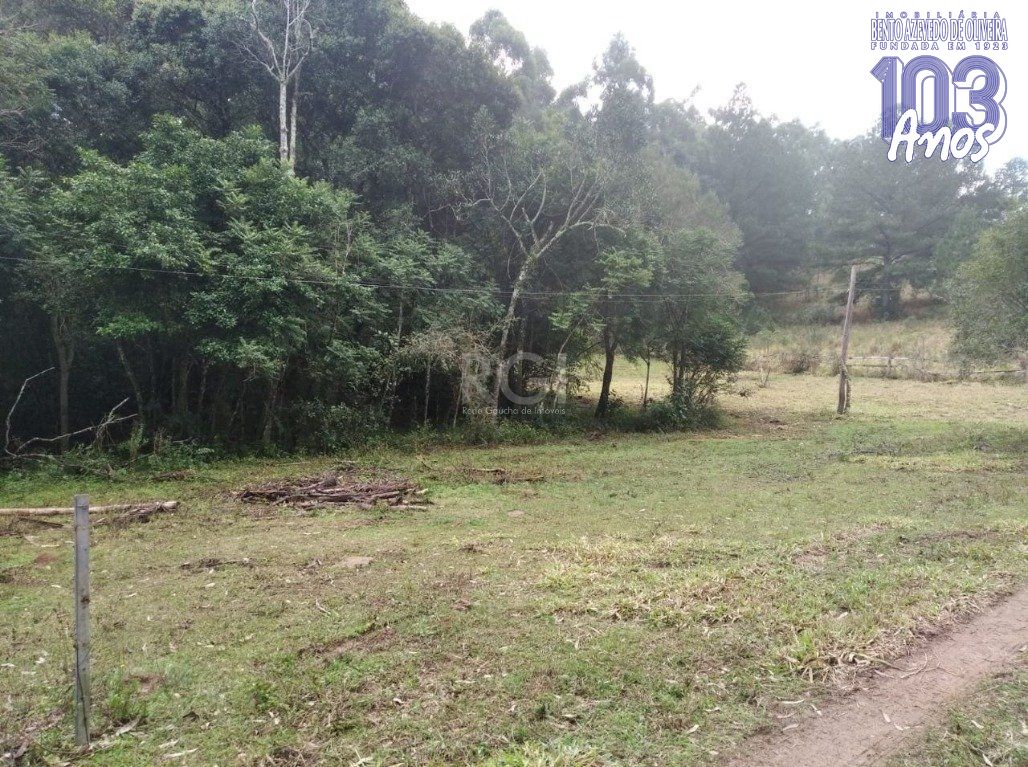 Terreno, 2500 m² - Foto 1
