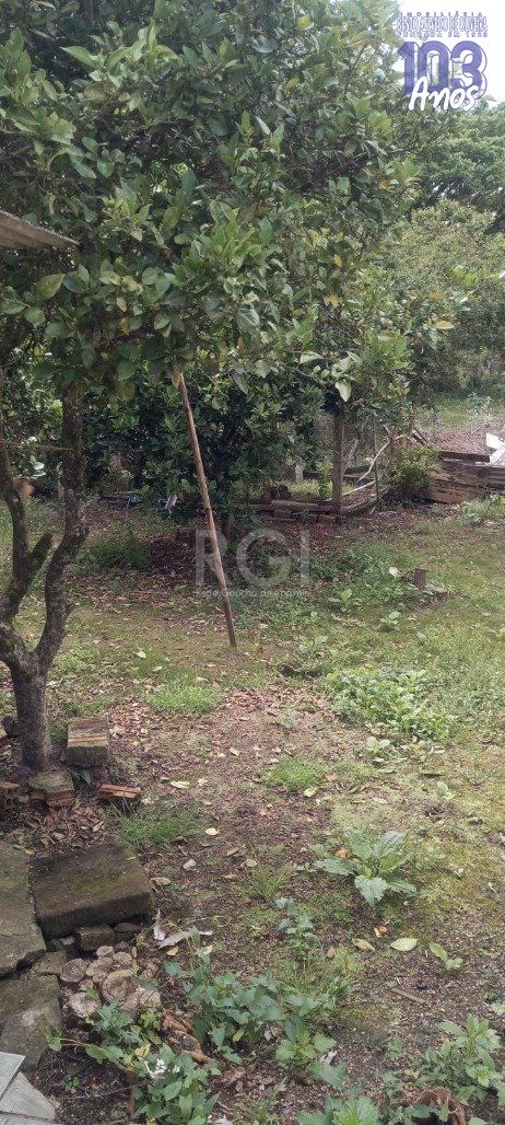 Casa, 3 quartos, 80 m² - Foto 3