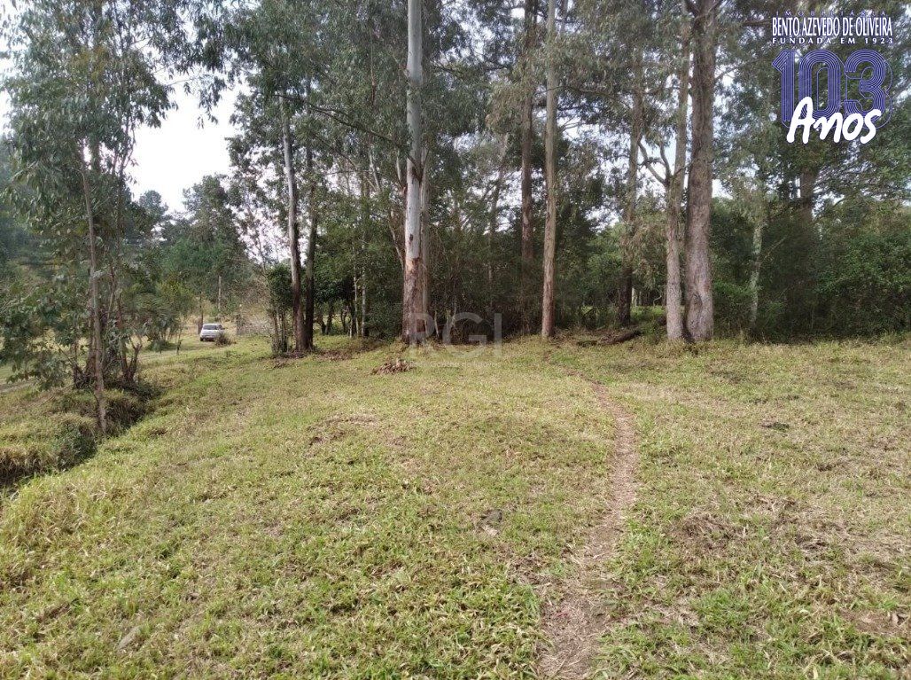 Terreno, 2500 m² - Foto 12