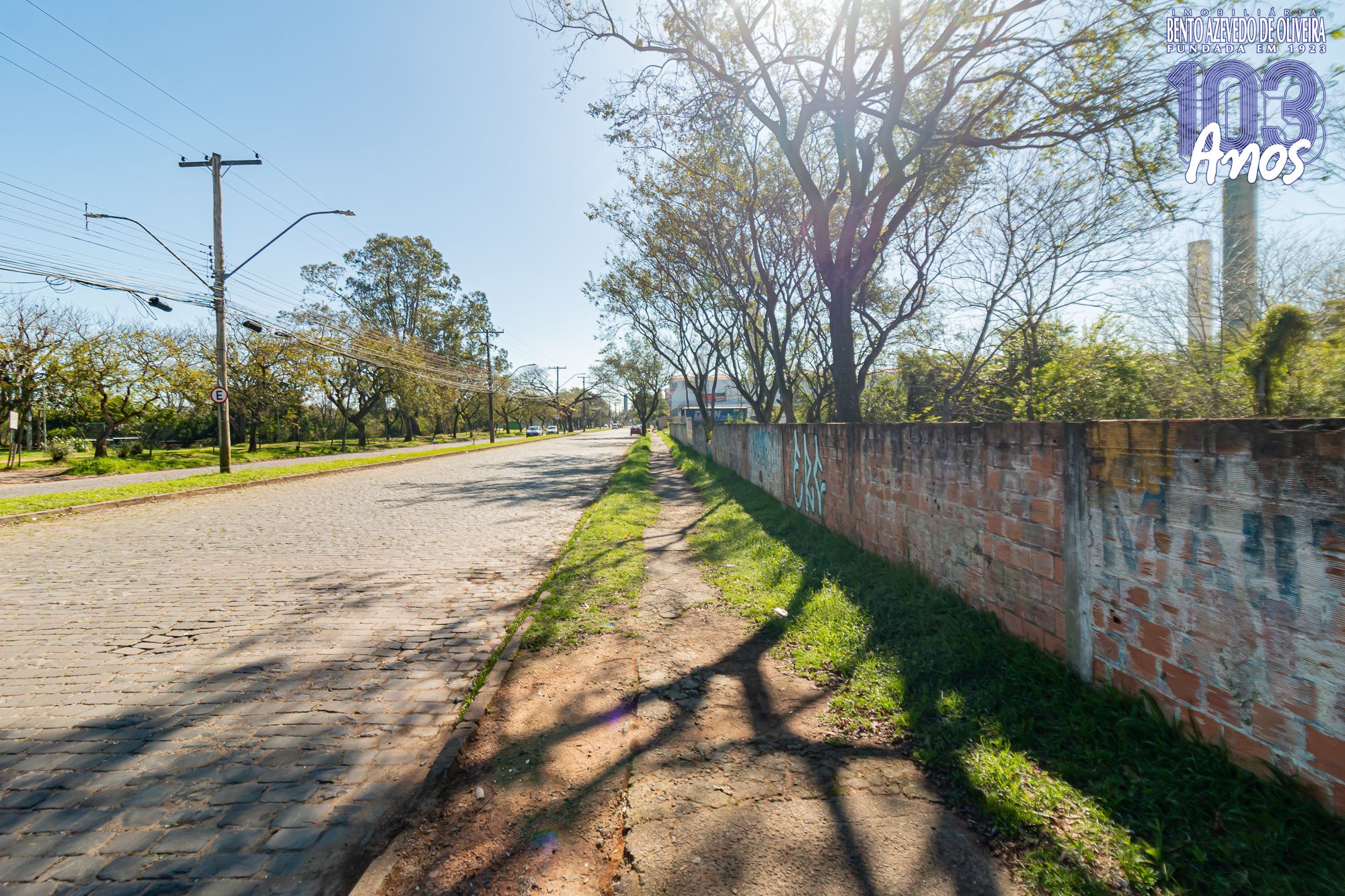 Terreno, 6150 m² - Foto 8