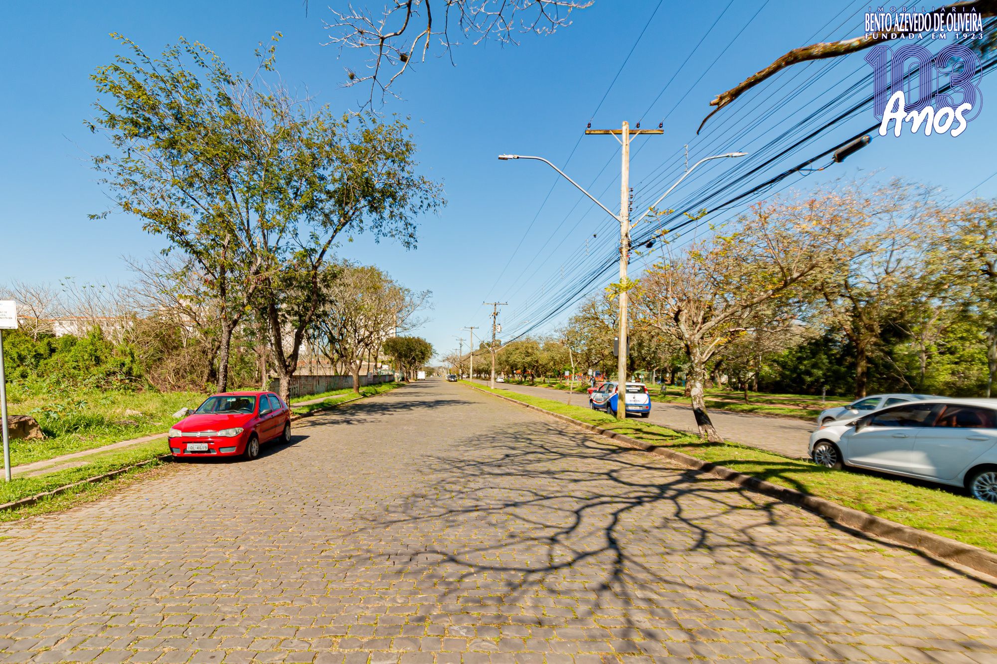 Terreno, 6150 m² - Foto 3