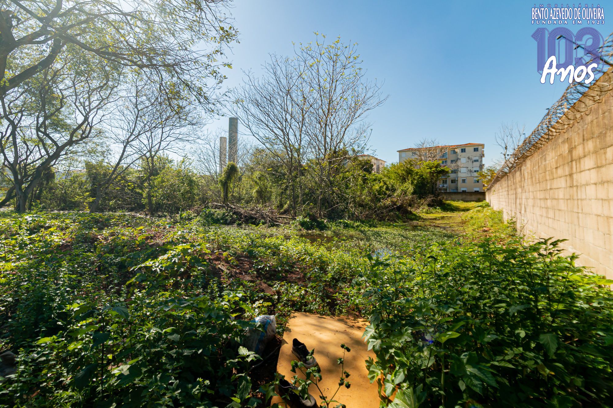 Terreno, 6150 m² - Foto 10