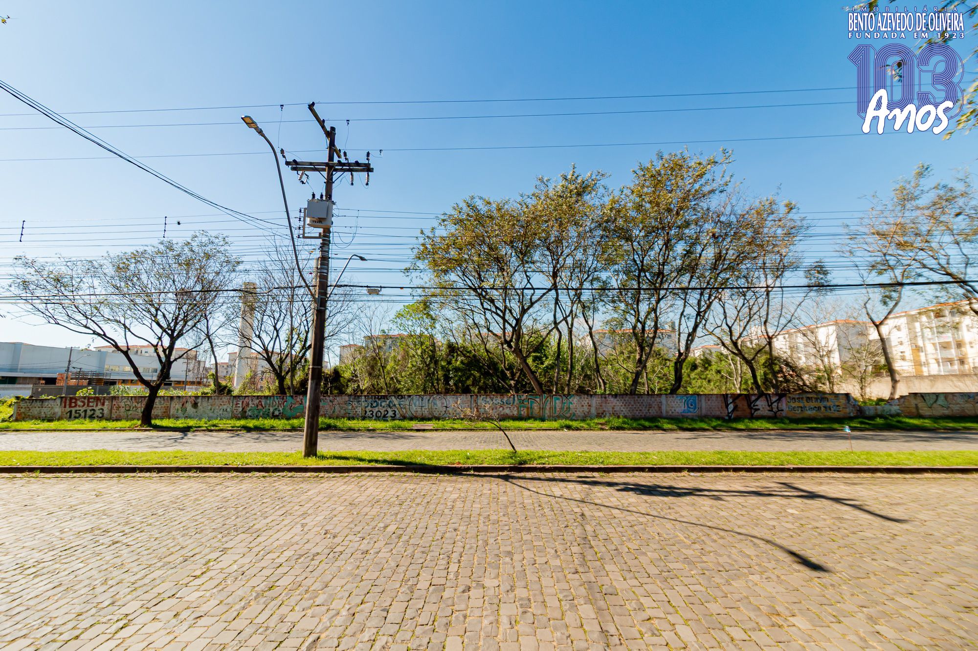 Terreno, 6150 m² - Foto 6