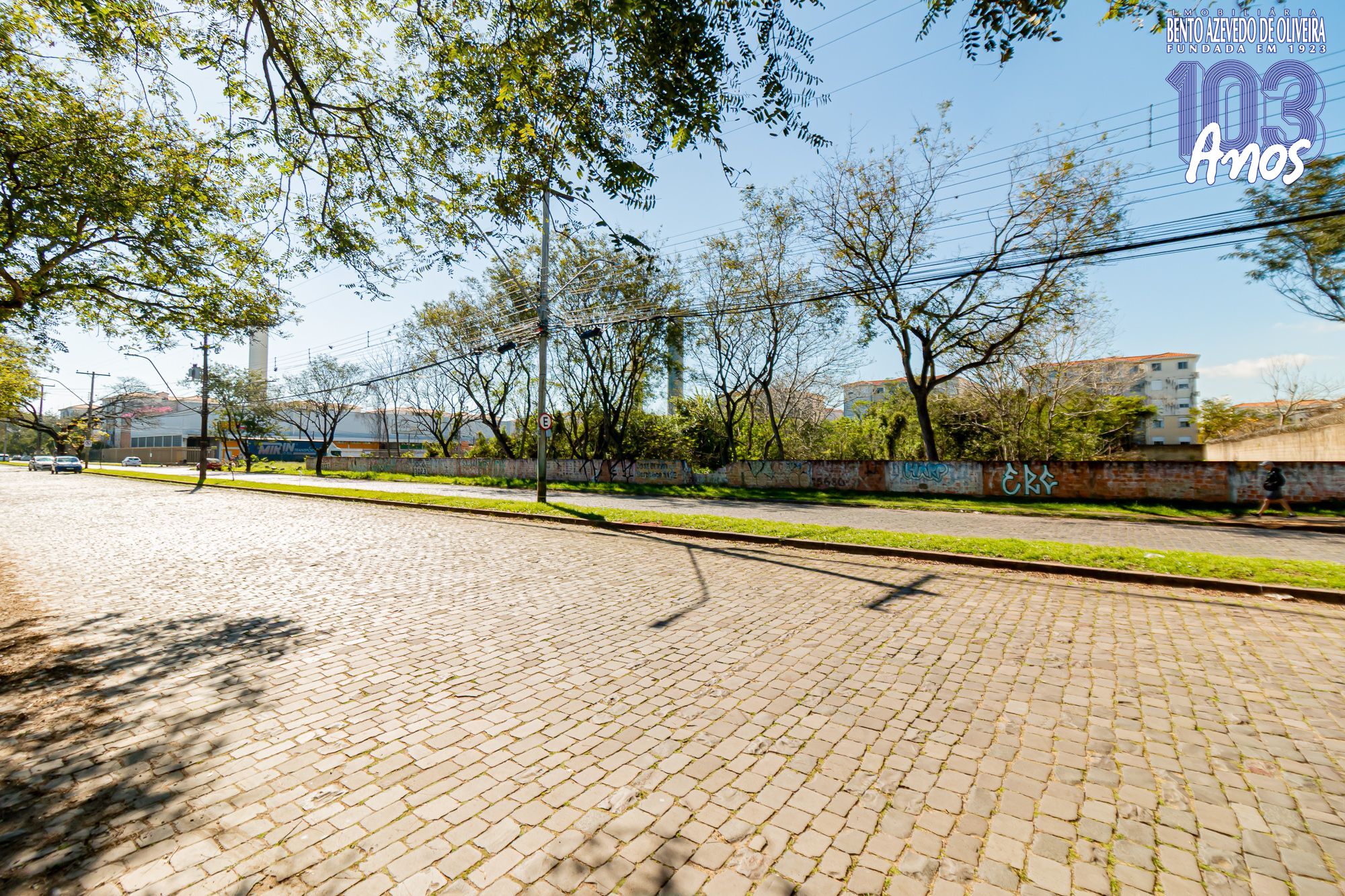Terreno, 6150 m² - Foto 7