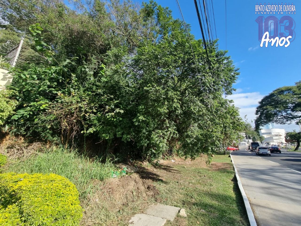 Terreno, 564 m² - Foto 4