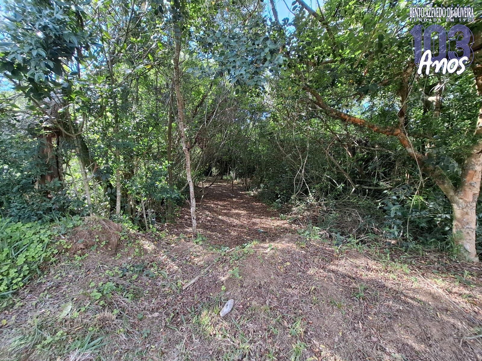 Terreno, 1 m² - Foto 3