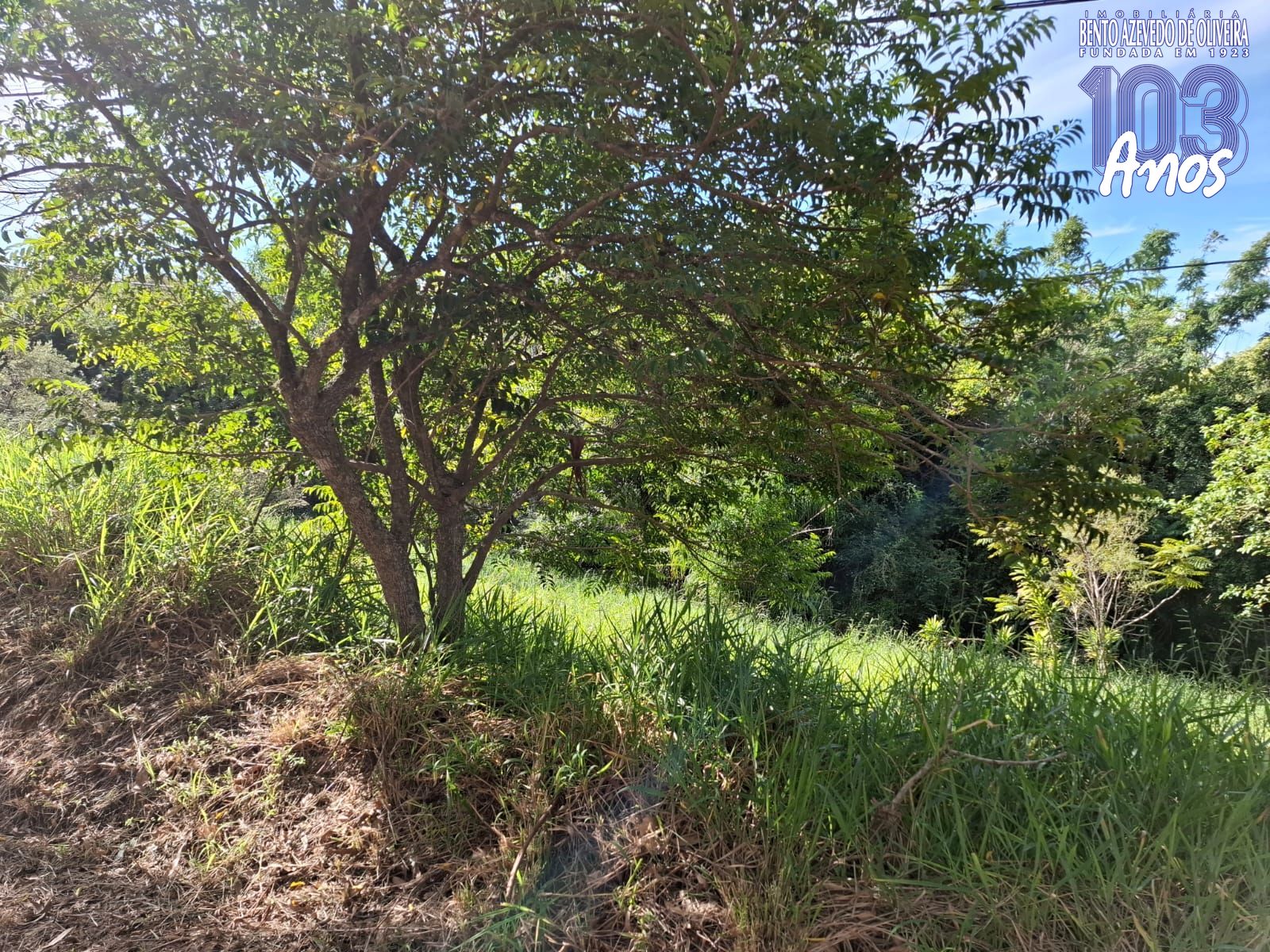 Terreno, 1 m² - Foto 1