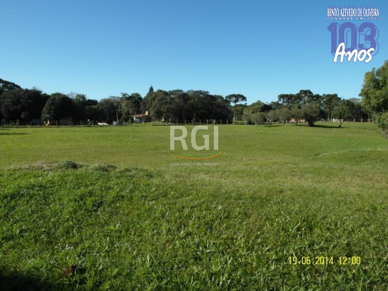 Terreno, 4 hectares - Foto 7