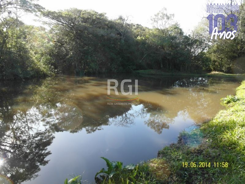 Terreno, 4 hectares - Foto 14