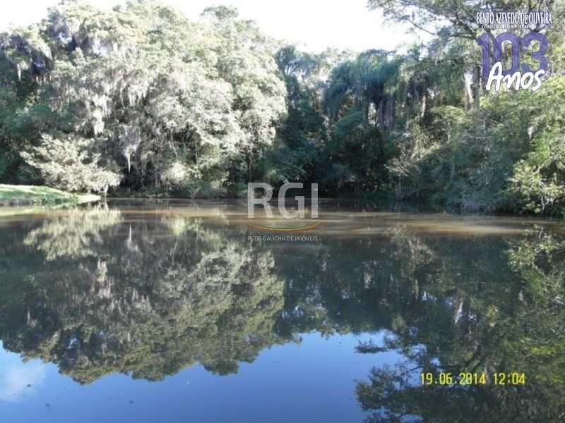 Terreno, 4 hectares - Foto 16